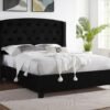 5111BK-ALL EVA BED